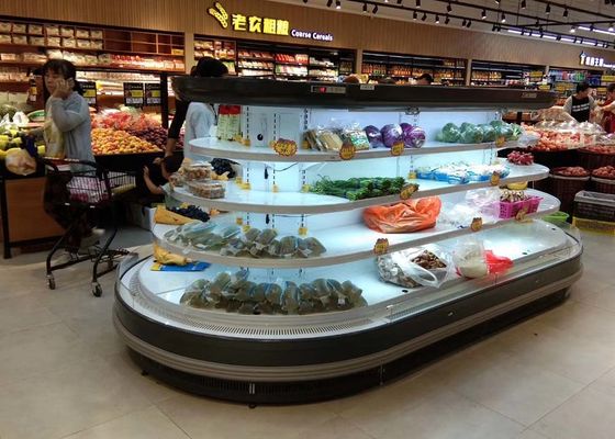 Półpionowy, owalny wysepkowy chłodnica wielopoziomowa